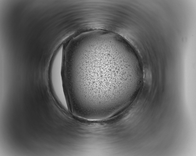 X0000088360390200706051027