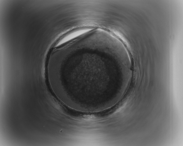 X0000088360391200706051027