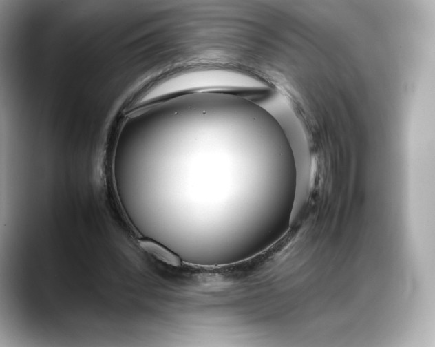 X0000088360392200706051027