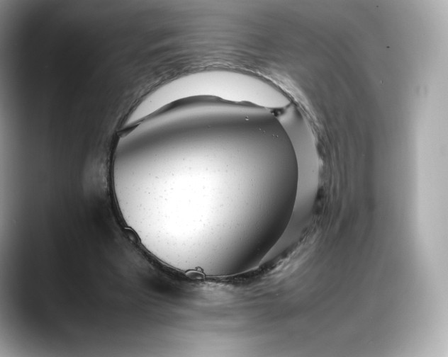 X0000088360393200706051027