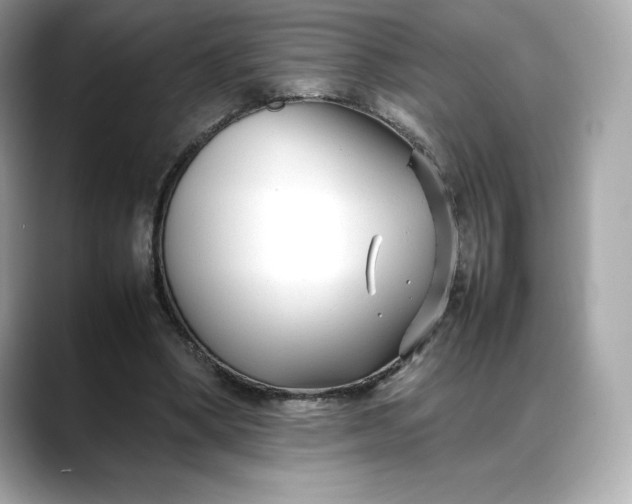 X0000088360394200706051027