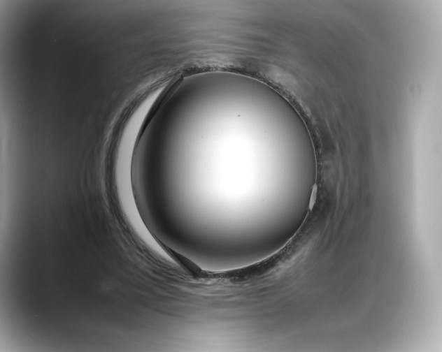 X0000088360395200706051027