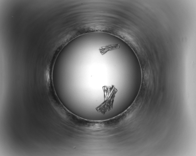 X0000088360398200706051027