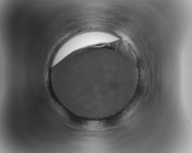 X0000088360399200706051027