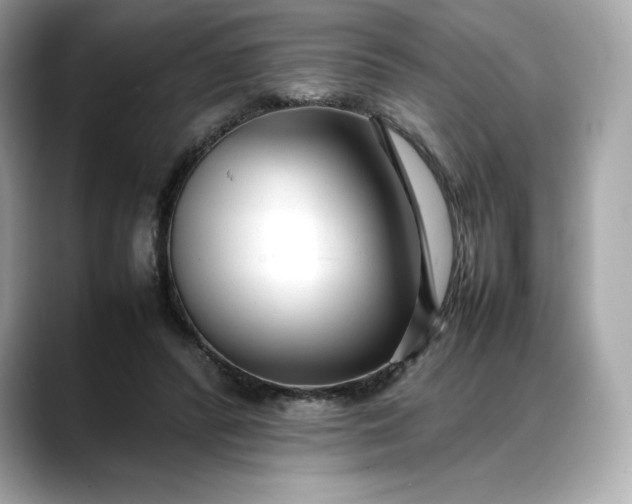 X0000088360400200706051027