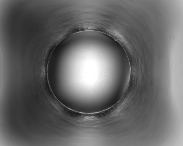 X0000088360401200706051027