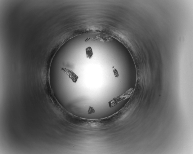 X0000088360402200706051027