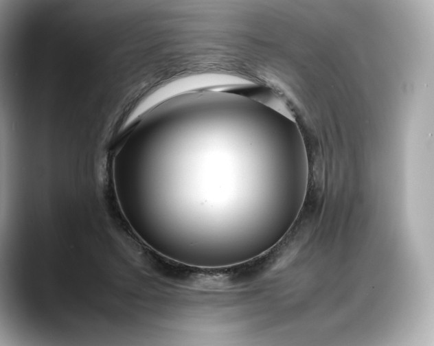 X0000088360403200706051027