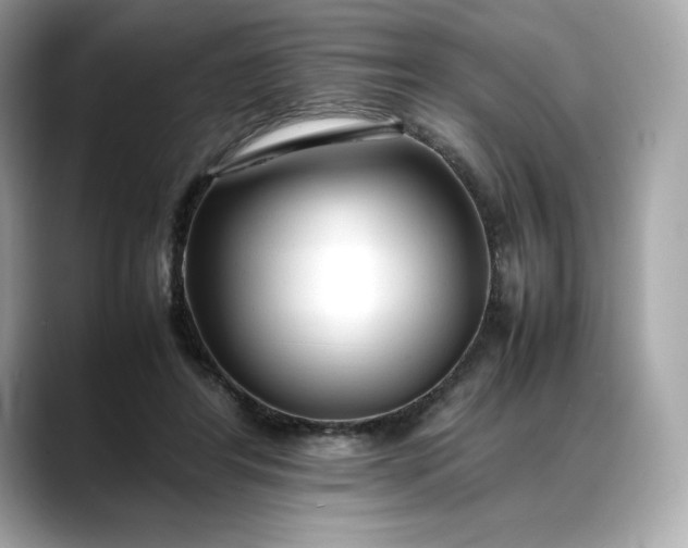 X0000088360404200706051027