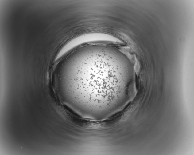 X0000088360405200706051027