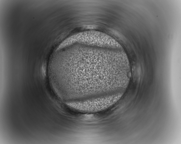 X0000088360406200706051027