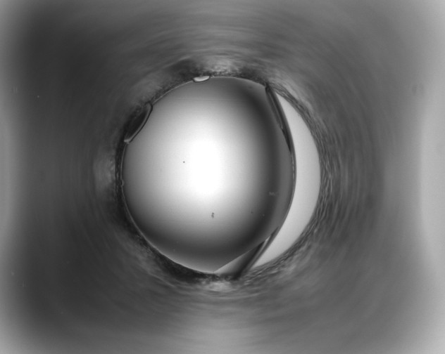 X0000088360407200706051027