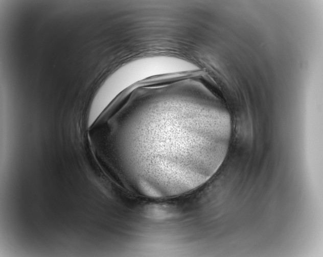 X0000088360408200706051027