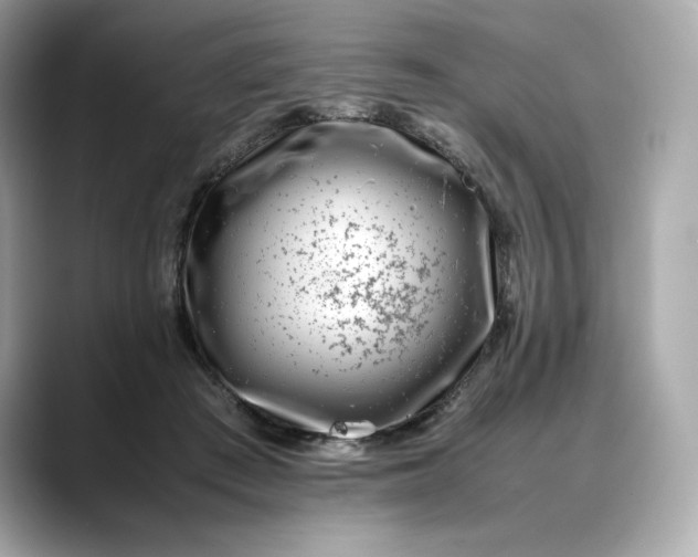 X0000088360409200706051027