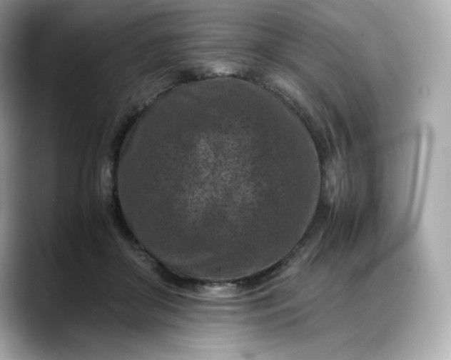 X0000088360410200706051027