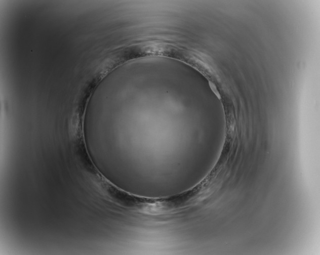 X0000088360411200706051027