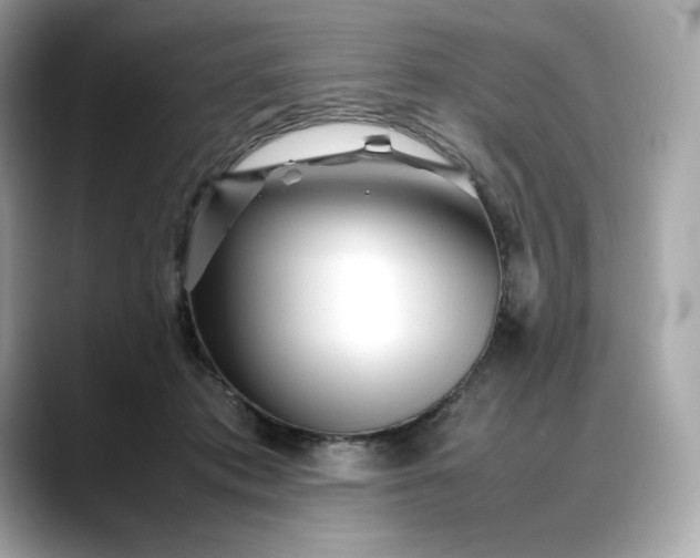 X0000088360413200706051027