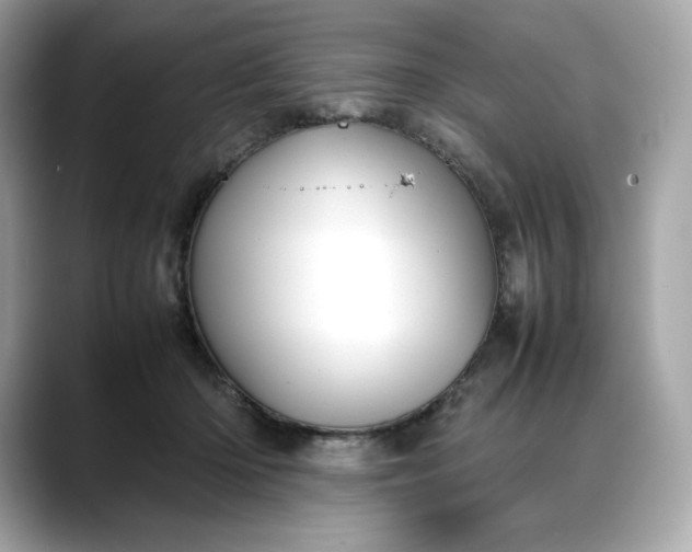 X0000088360414200706051027