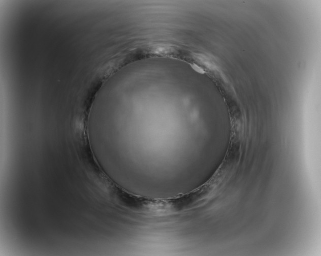 X0000088360415200706051027