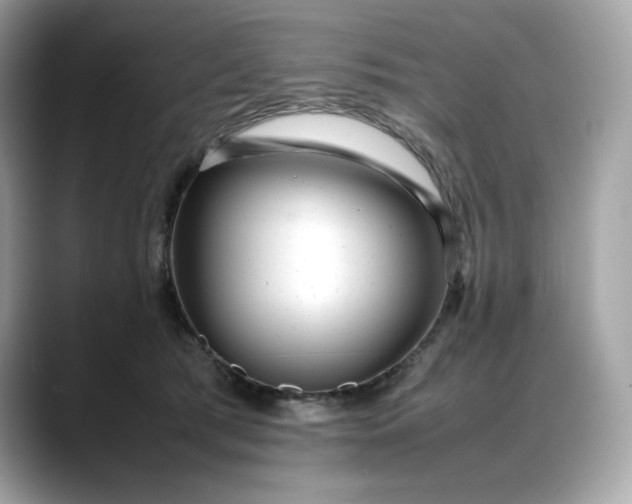 X0000088360417200706051027