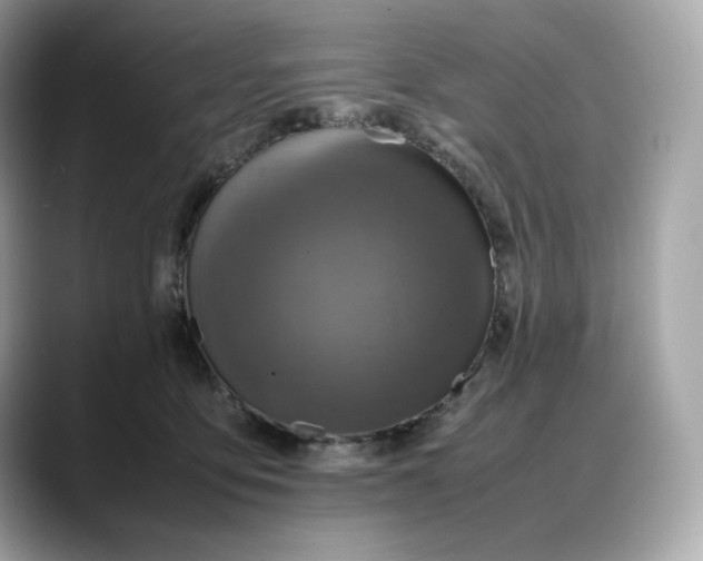 X0000088360419200706051027