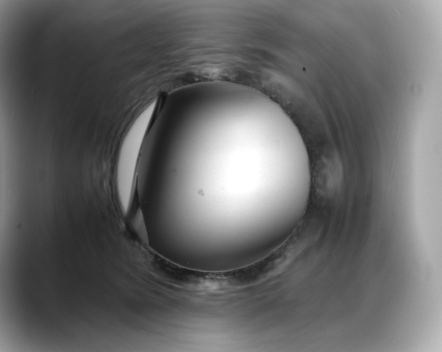 X0000088360420200706051027