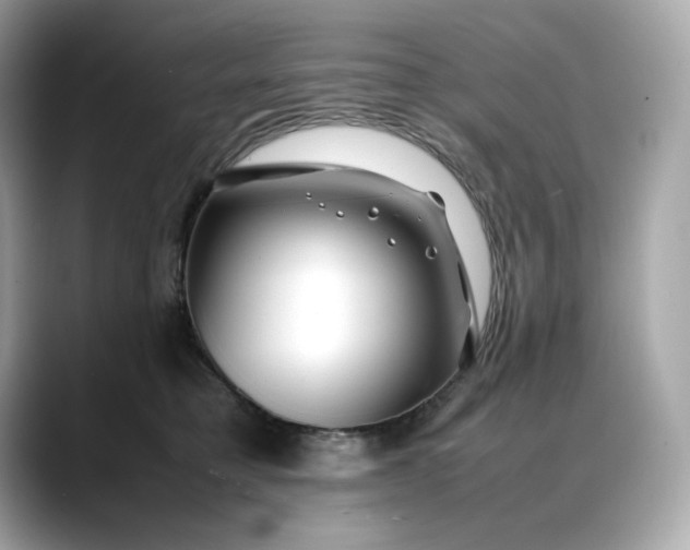 X0000088360421200706051027