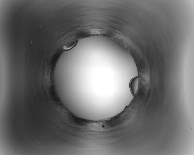 X0000088360422200706051027