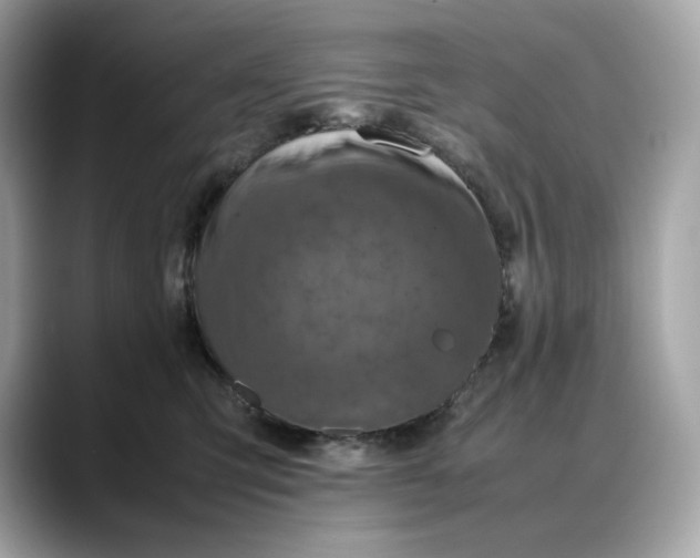 X0000088360423200706051027