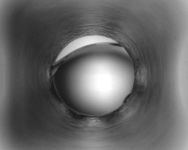 X0000088360424200706051027