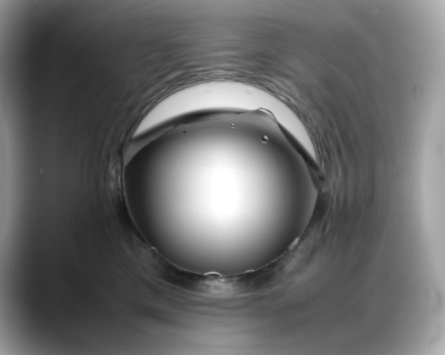 X0000088360425200706051027