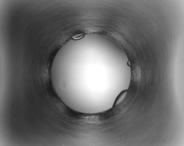 X0000088360426200706051027