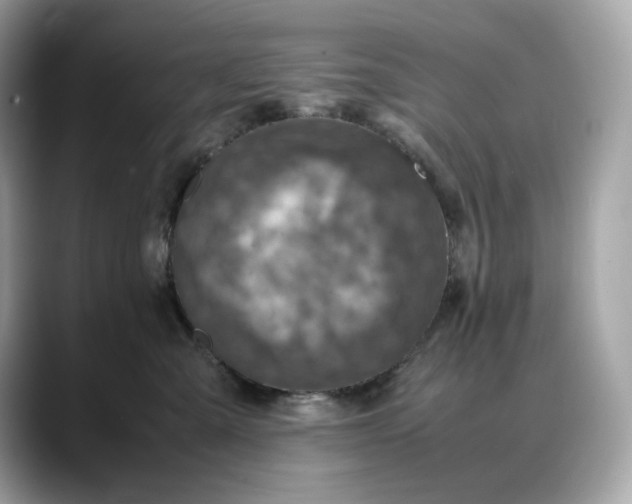 X0000088360427200706051026