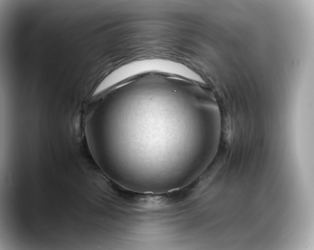 X0000088360428200706051026