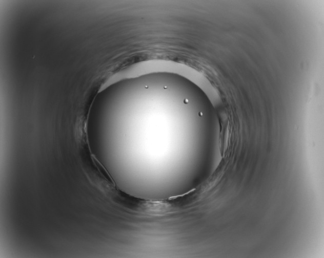 X0000088360429200706051026