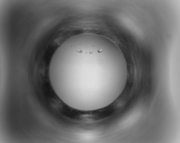 X0000088360430200706051026