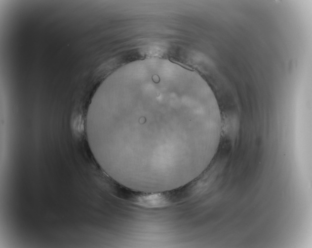 X0000088360431200706051026