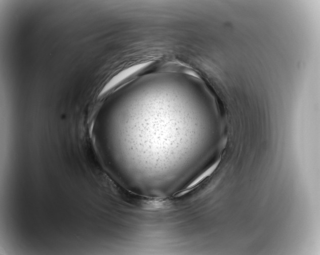 X0000088360432200706051026