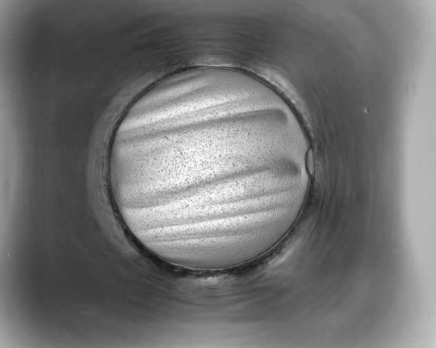 X0000088360433200706051026