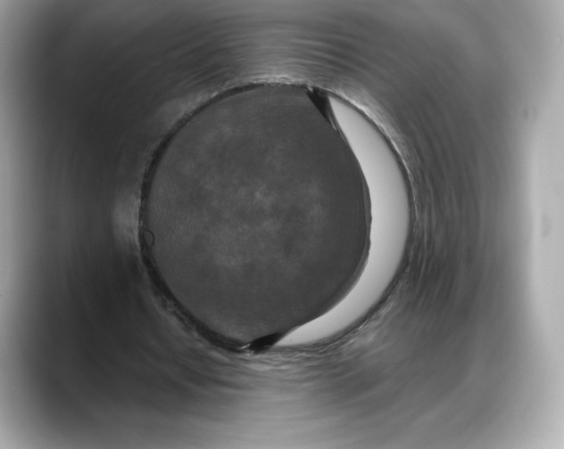 X0000088360434200706051026