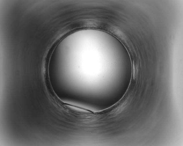 X0000088360435200706051026