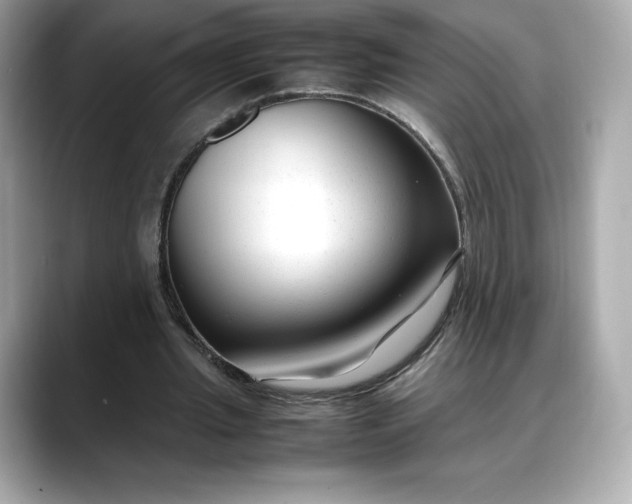 X0000088360437200706051026