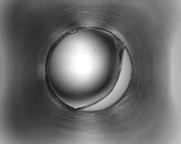 X0000088360438200706051026