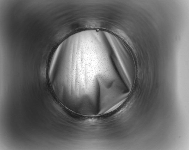 X0000088360441200706051026