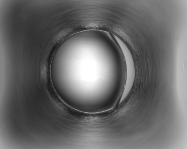 X0000088360444200706051026