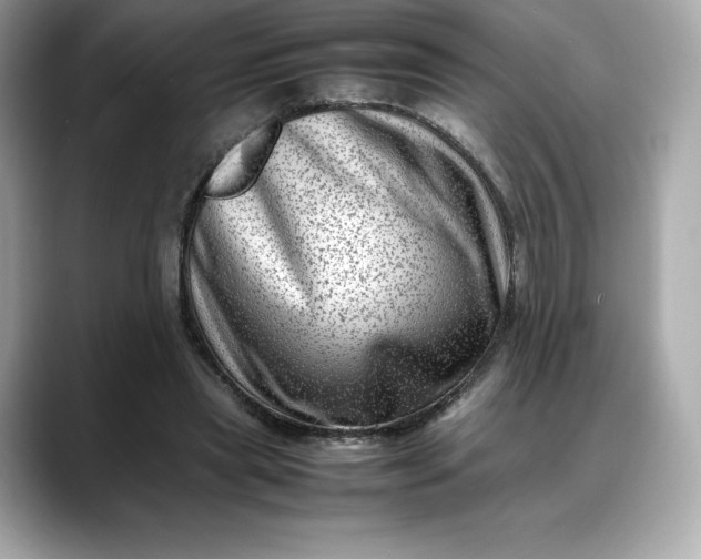 X0000088360445200706051026