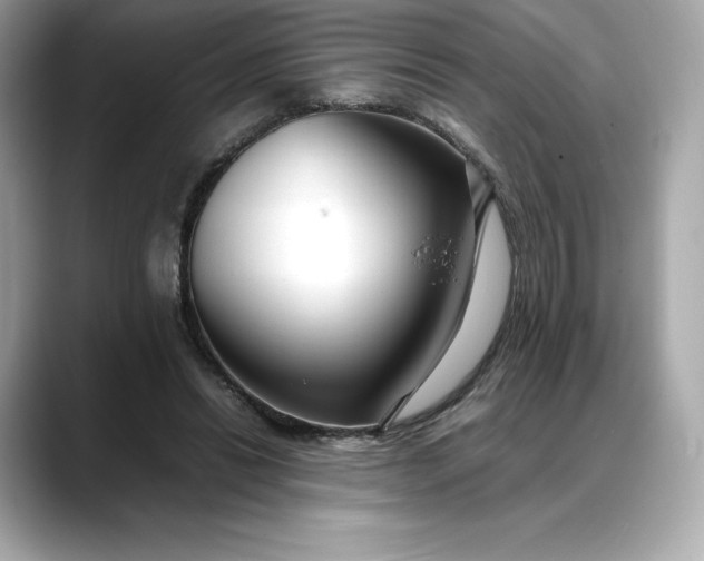 X0000088360446200706051026