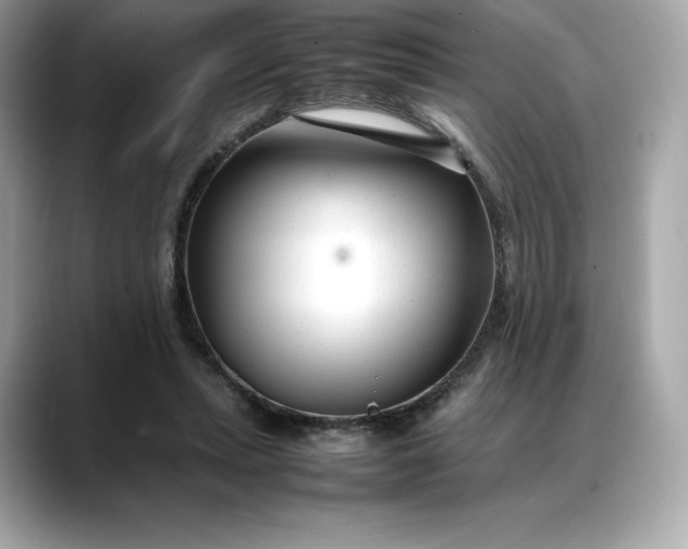 X0000088360447200706051026