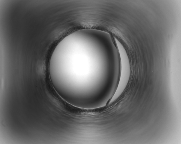 X0000088360448200706051026