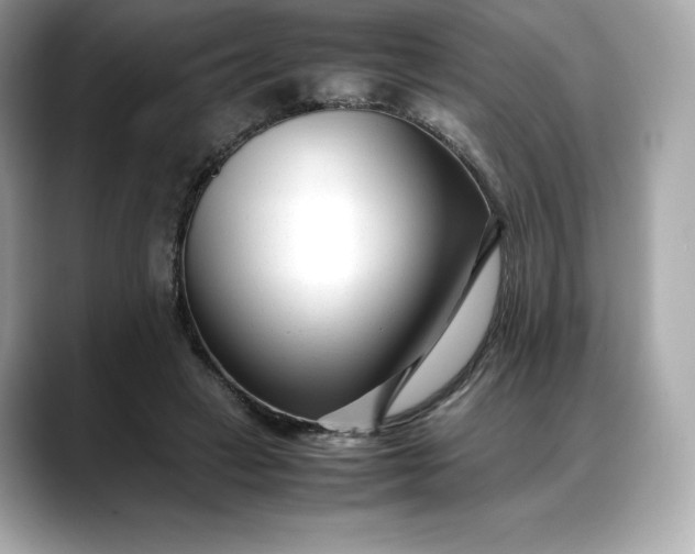 X0000088360449200706051026